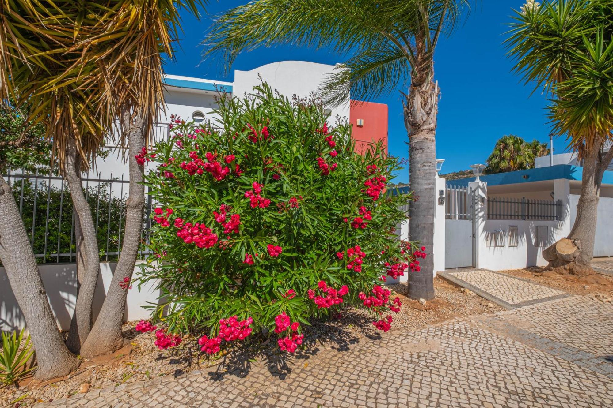 Capetown Marina Luxury Villa - Private Pool Albufeira Exteriér fotografie